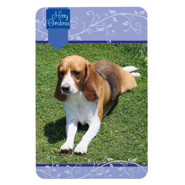 Íman Abas Azuis e Florescente, Magneta de Natal Feliz (Vertical)