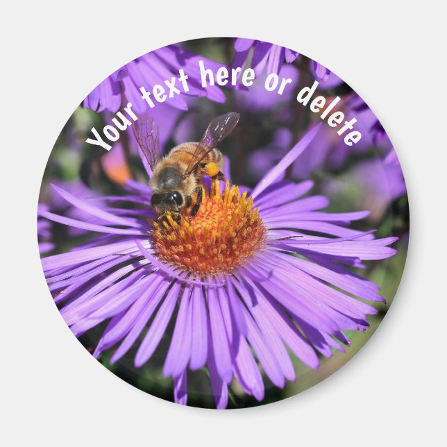 Íman Abeja Em Flor De Áster Roxo Personalizado Natureza (Frente)