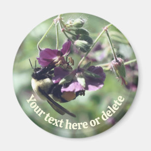 Íman Abeja Melífera Com Flor De Pólen Personalizada