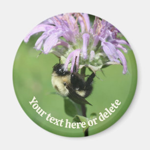 Íman Abeja Melífera Em Flor De Bálsamo De Abelha Person