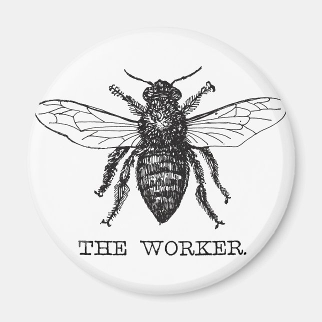 Íman Abeja Trabalhadora Mel Abelha Preta (Frente)