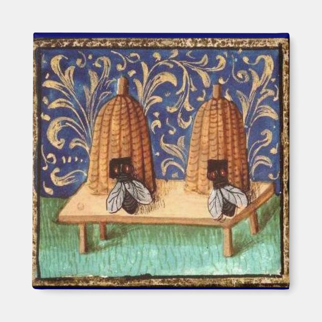 ÍMAN ABELHA DE MEL, PROFESSOR (Frente)