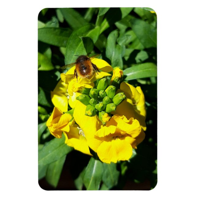 Íman Abelha em Flores Amarelas (Vertical)