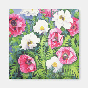 Íman Abelha Mel De Abelha