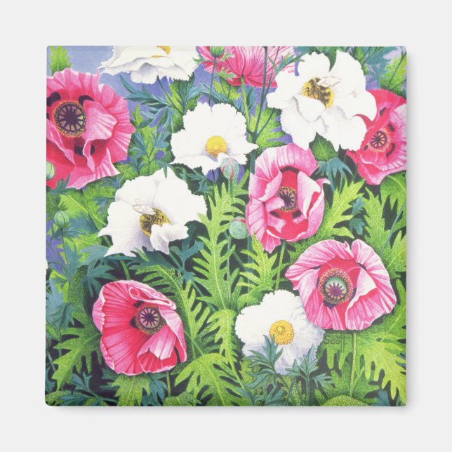 Íman Abelha Mel De Abelha (Frente)