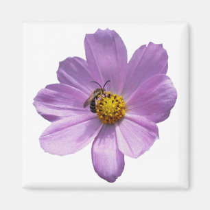 Íman Abelha na flor roxa