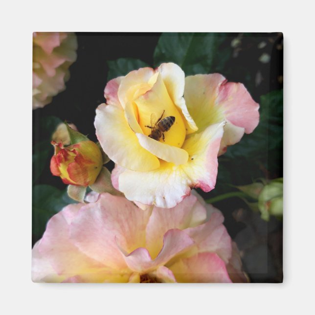 Íman Abelha nas flores amarelas cor-de-rosa (Frente)