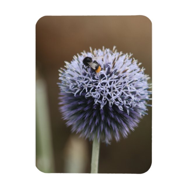 Íman Abelha no ímã Allium (Vertical)