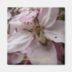 Íman Abelha Ocupada