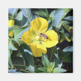 Íman Abelha Ocupada