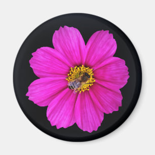 Íman abelha trabalhadora