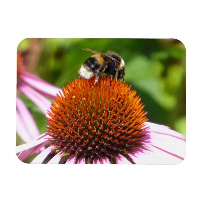 ÍMAN  ABELHAS (Horizontal)