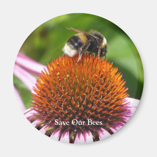 ÍMAN ABELHAS (Frente)