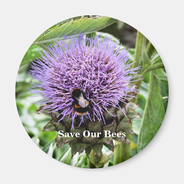 ÍMAN ABELHAS   (Frente)