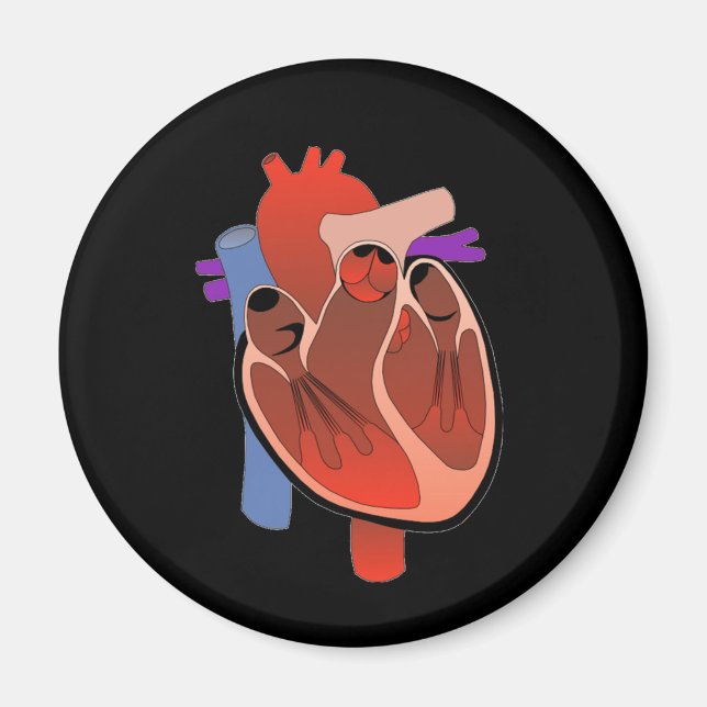 Íman Aberto Corado (Frente)