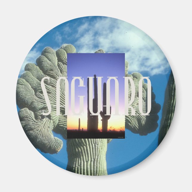 Íman ABH Saguaro (Frente)