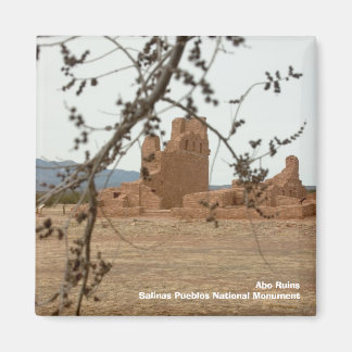 Íman Abo RuinsSalinas Pueblos National Mon.