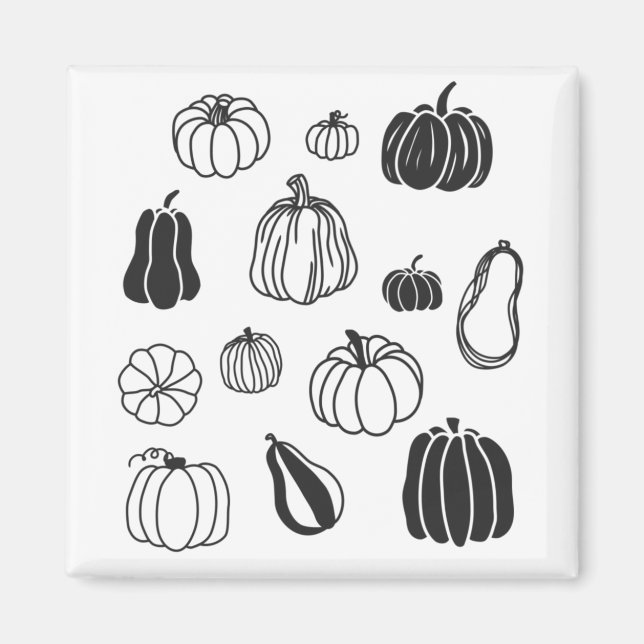 Íman Abóbora Botânica (Frente)