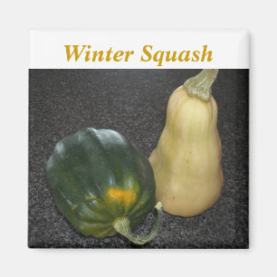Íman Abóbora de Inverno - Acorn e Butternut