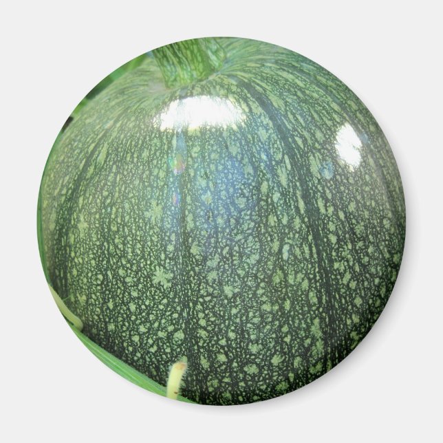 Íman Abóbora Verde (Frente)