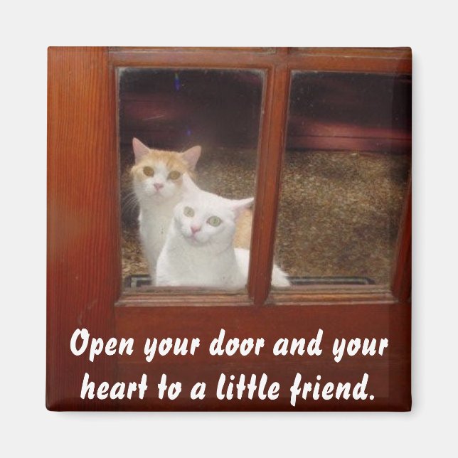 Íman Abra seu coração (Frente)