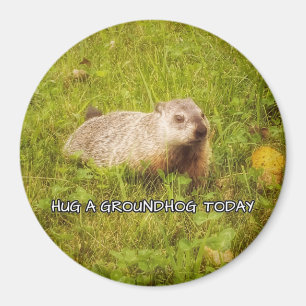 Íman Abrace um ímã de marmota hoje