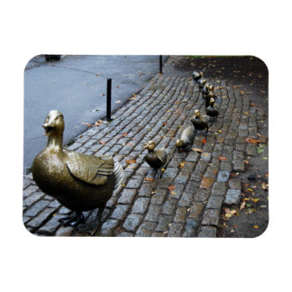 Íman Abram Caminho Para Os Ducklings! Ímã