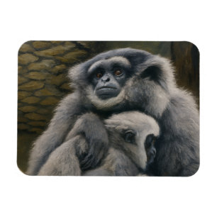 Íman Abrigo Gibbon - Retrato Emocional de Vida Selvagem