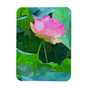 Íman Abstrato de Lotus Cor-de-Rosa Magnética do Frigorí