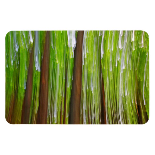 Íman Abstrato de Maple Grove (Horizontal)