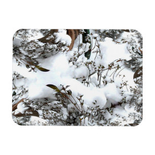 Íman Abstrato de neve