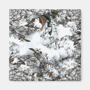Íman Abstrato de Neve