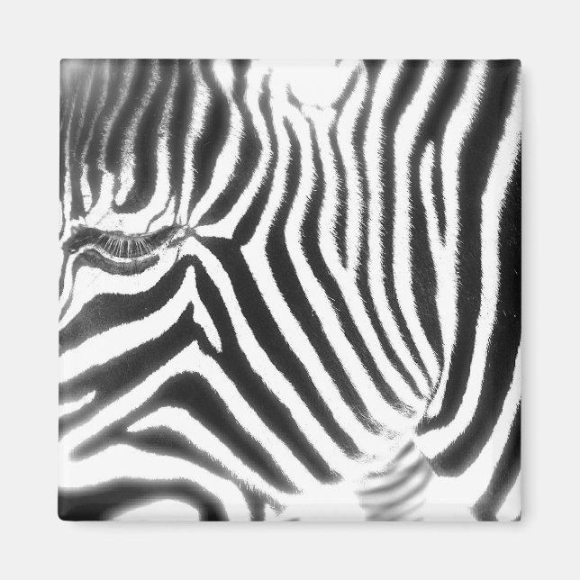 Íman Abstrato Zebra Magnet (Frente)