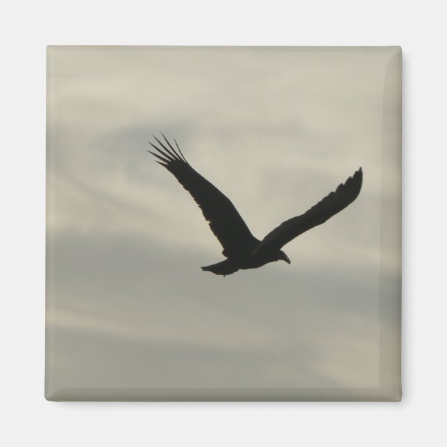 Íman Abutre. (Frente)