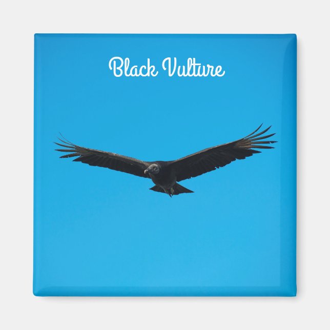 Íman Abutre preto (Frente)