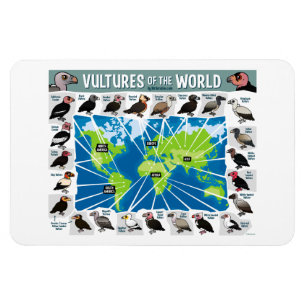 Íman Abutres do mapa do mundo