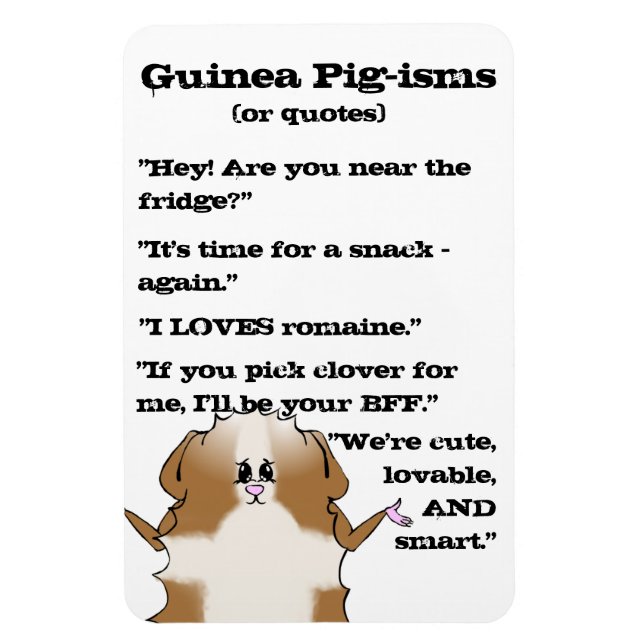Íman Abyssinian Guiné Pig Sayings (Vertical)