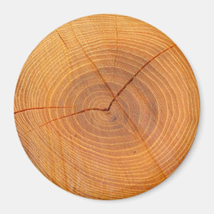 Íman Acacia Tree Cross Section Large Round Magnet