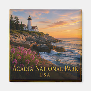 Íman Acadia Maine Costa Rochosa & Montanha Cadillac