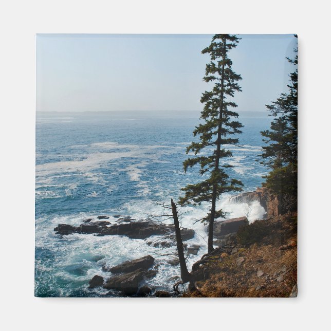 Íman Acadia Shore Magnet - 1 (Frente)