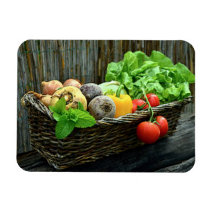 Íman Ação de Graças da Colheita de Vegetais em uma C