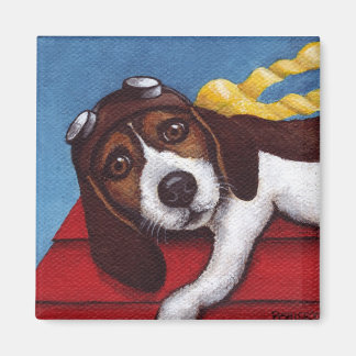 Íman Ace Voador Em Formação