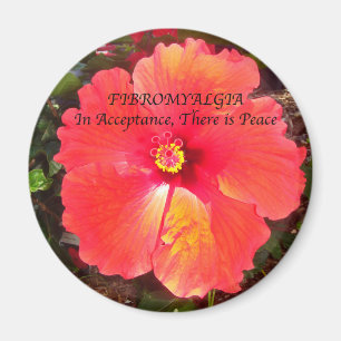 Íman Aceitação Fibre