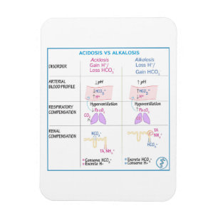 Íman Acidose vs Alcalose Magneta