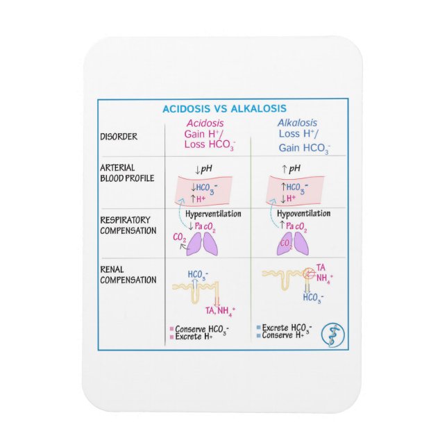 Íman Acidose vs Alcalose Magneta (Vertical)