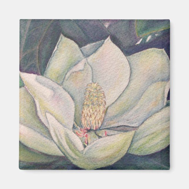 Íman Aço Magnolia (Frente)