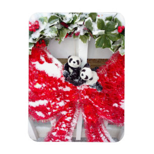 Íman Aconchegantes Juntos