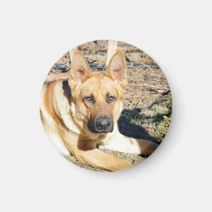 Íman Acordar Para Cima,