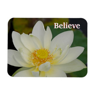Íman Acredite no Lotus Magnet