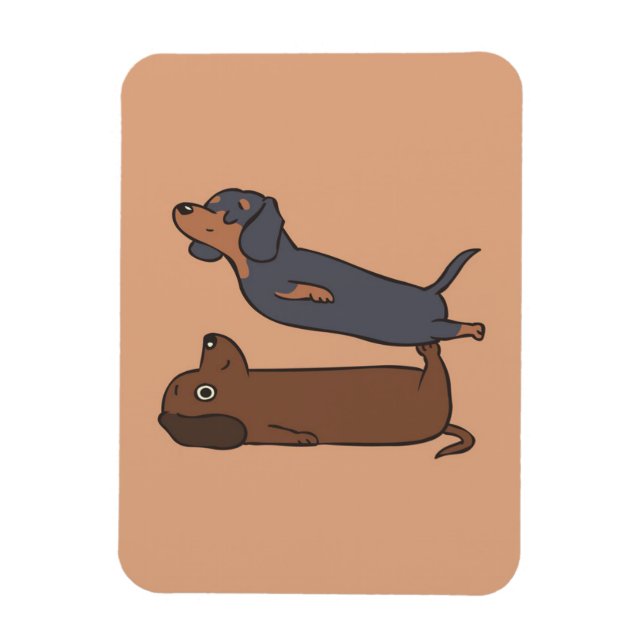 Íman Acroyoga Dachshund | Dachshund Lover Gift (Vertical)